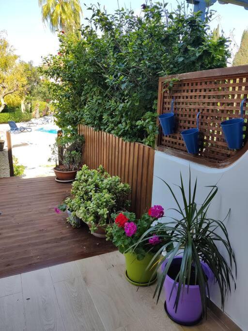 Rachel Suite By The Pool Paphos Bagian luar foto